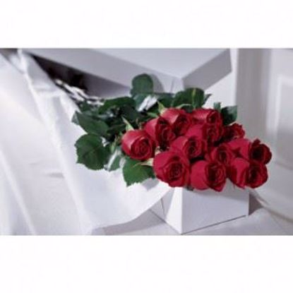 Picture of 12 Red Grande Roses