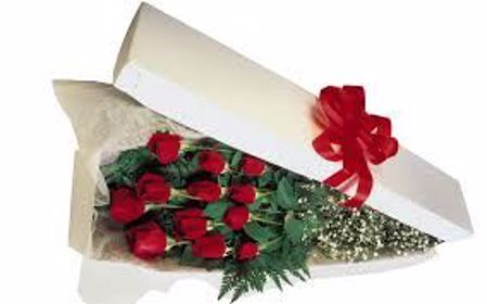 Picture for category Delivery Roses