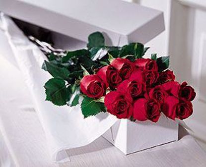 Picture of 12 Red Grande Roses
