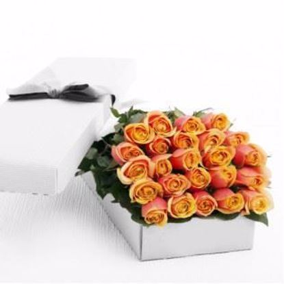 Picture of 36 Peach Roses