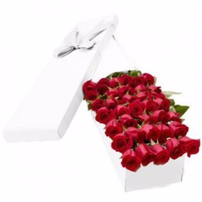 Picture of 36 Red Roses