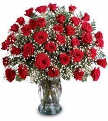Picture of 36 Roses in Vase