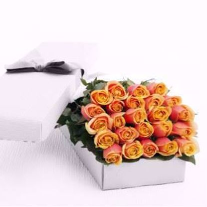 Picture of 24 Peach Tea Roses