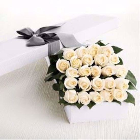 Picture of 24 White Roses