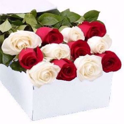 Picture of 6 Red 6 White Roses